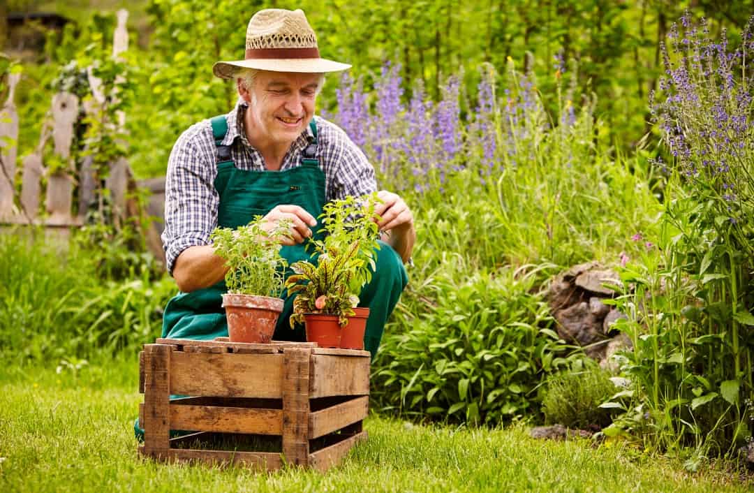 How To Avoid Knee Pain When Gardening This Spring With Our Helpful Hints!